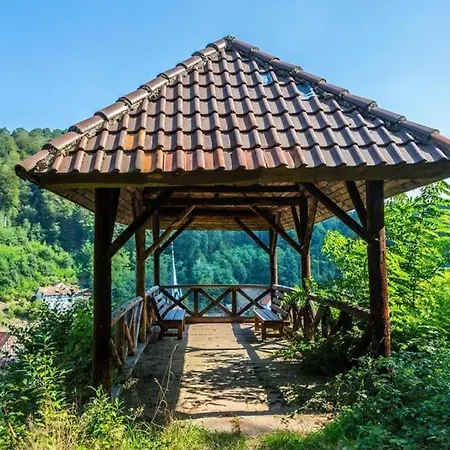 Waldnest * Elmstein