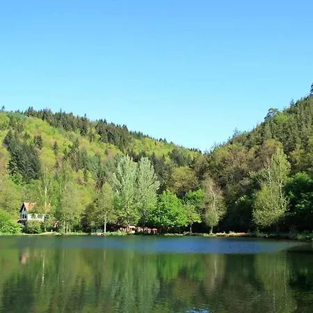 Lejlighed Waldnest